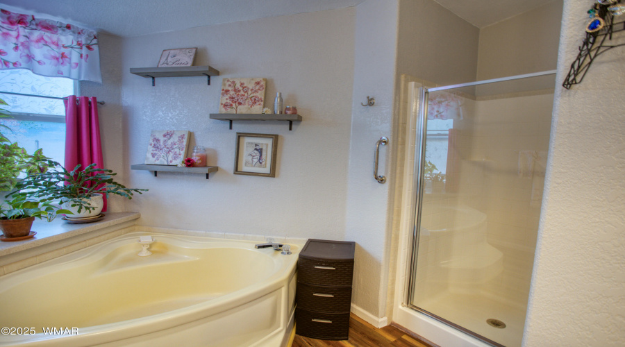 Primary Shower