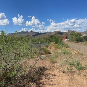 tatum Trail