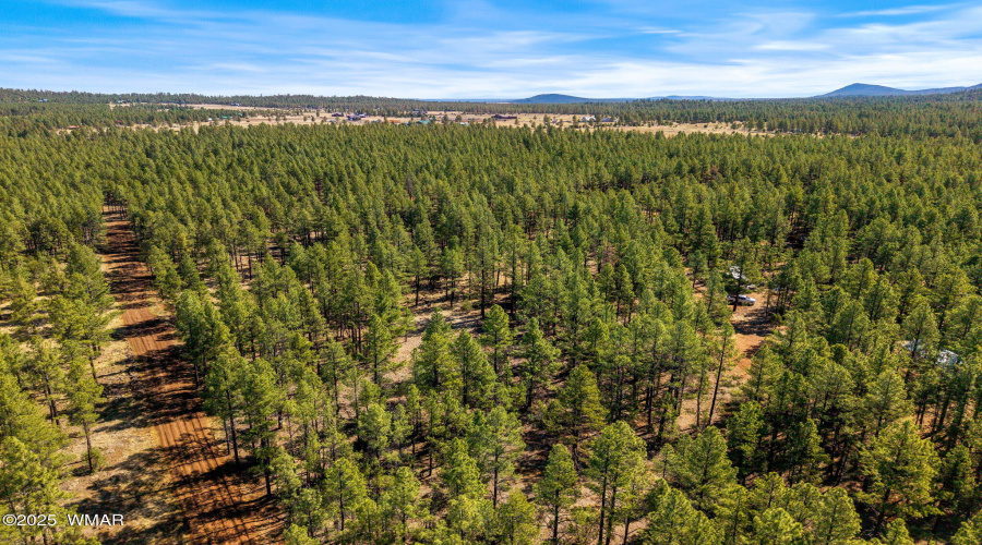 915BirdsongWay-Lakeside-AZ-8