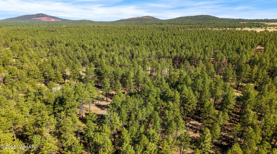 915BirdsongWay-Lakeside-AZ-9