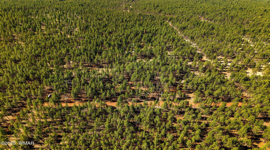 915BirdsongWay-Lakeside-AZ-10