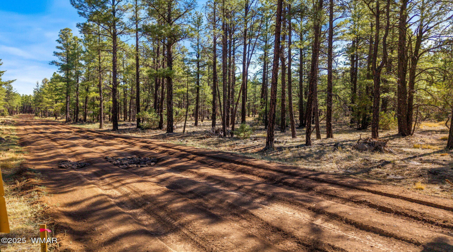 915BirdsongWay-Lakeside-AZ-11