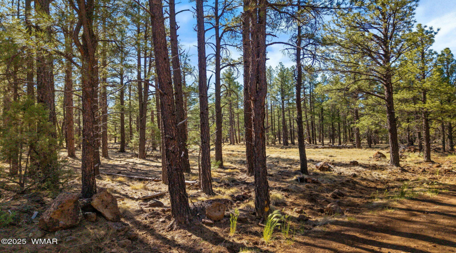 915BirdsongWay-Lakeside-AZ-12