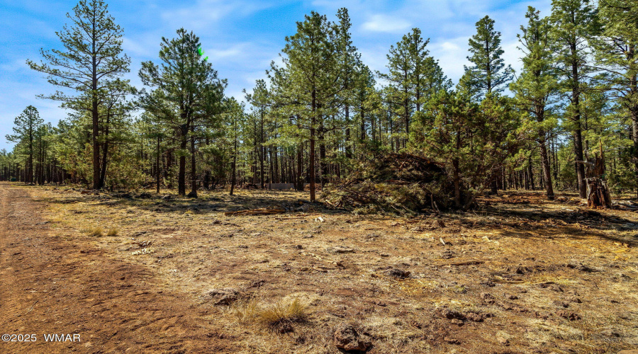 915BirdsongWay-Lakeside-AZ-18