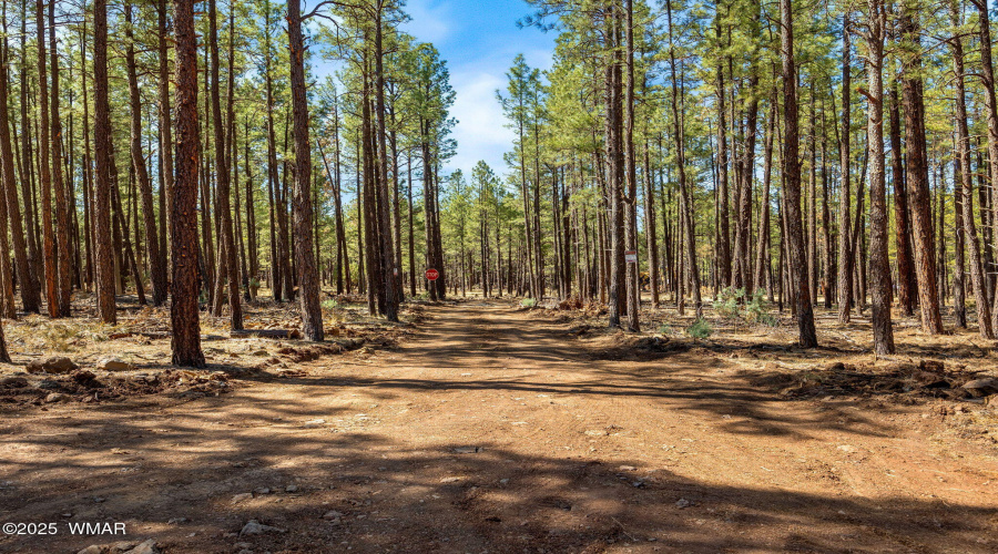 915BirdsongWay-Lakeside-AZ-27