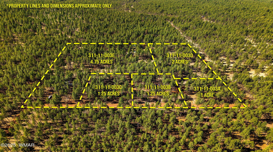 915BirdsongWay-Lakeside-AZ-ParcelLines-1