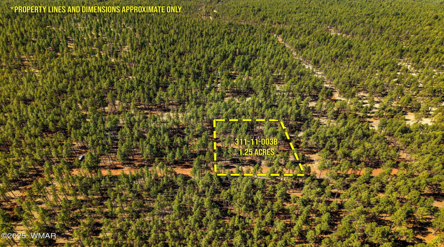 915BirdsongWay-Lakeside-AZ-ParcelLines-3
