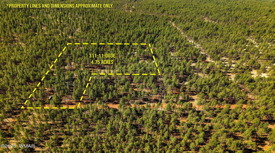 915BirdsongWay-Lakeside-AZ-ParcelLines-6