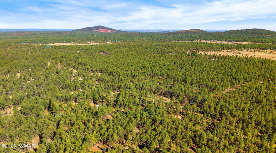 915BirdsongWay-Lakeside-AZ-5