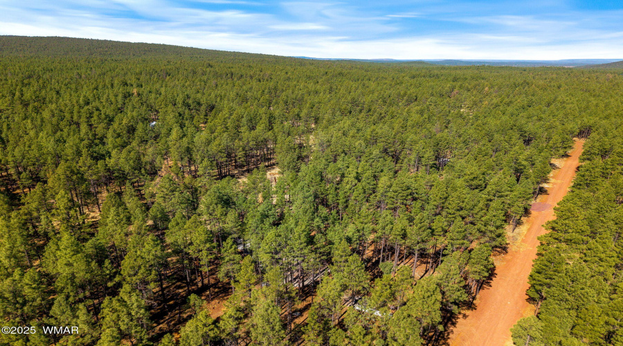 915BirdsongWay-Lakeside-AZ-6