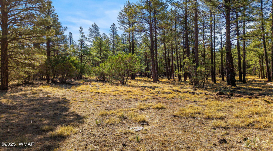 915BirdsongWay-Lakeside-AZ-13