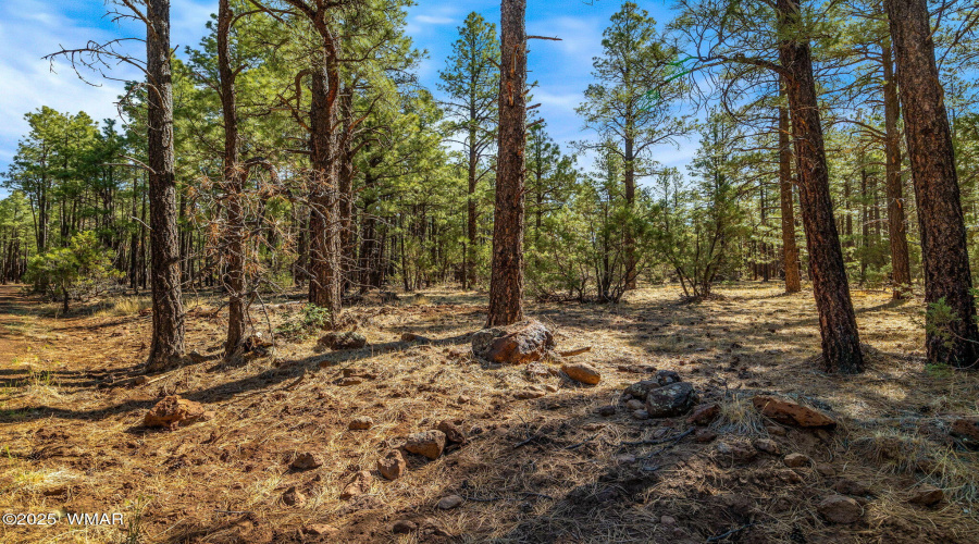 915BirdsongWay-Lakeside-AZ-14