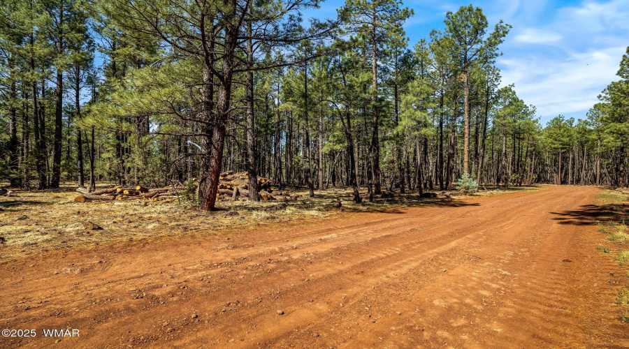 915BirdsongWay-Lakeside-AZ-17