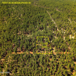 915BirdsongWay-Lakeside-AZ-ParcelLines-3