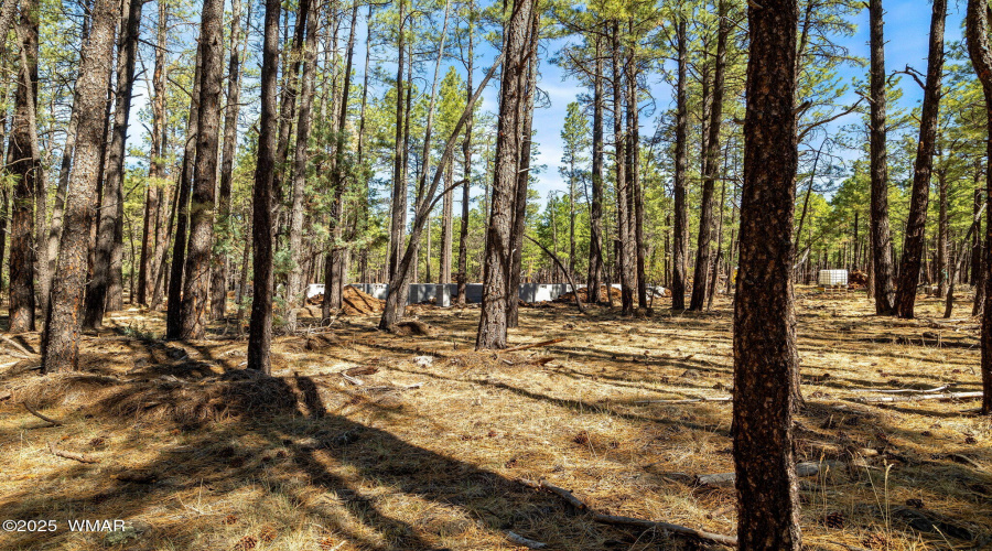 915BirdsongWay-Lakeside-AZ-23