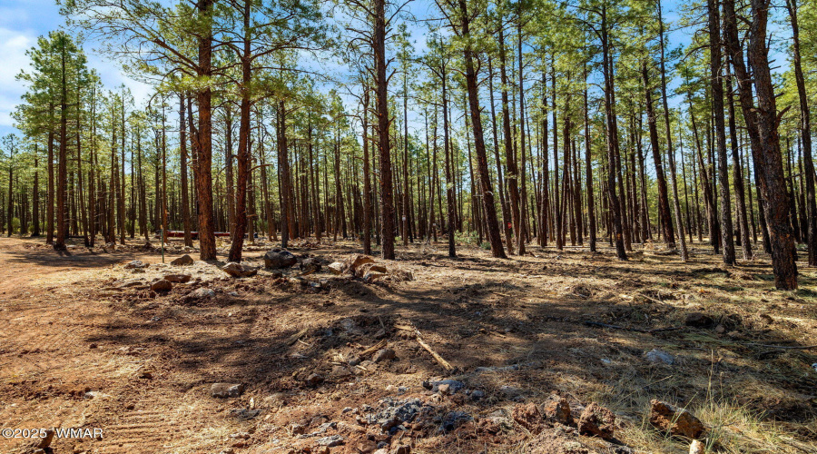 915BirdsongWay-Lakeside-AZ-26