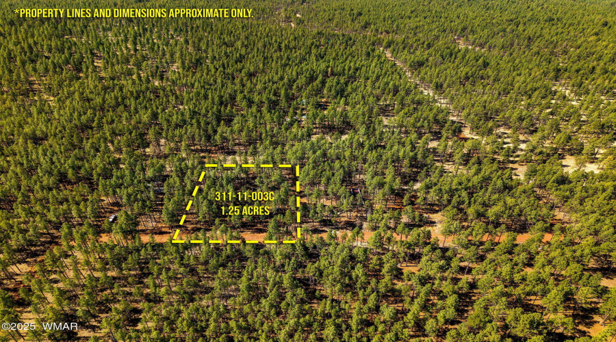 915BirdsongWay-Lakeside-AZ-ParcelLines-4