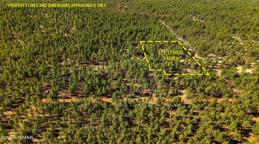 915BirdsongWay-Lakeside-AZ-ParcelLines-5
