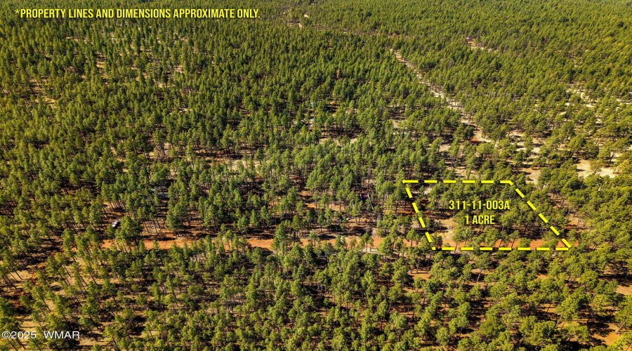 915BirdsongWay-Lakeside-AZ-ParcelLines-2