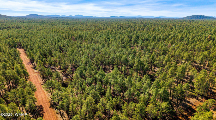 915BirdsongWay-Lakeside-AZ-7