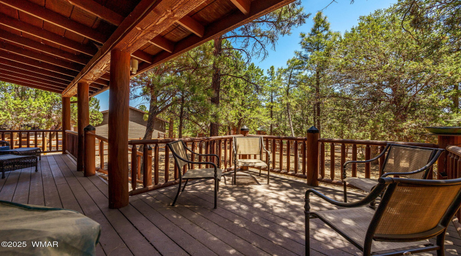 1761NBisonCt-ShowLow-AZ-20