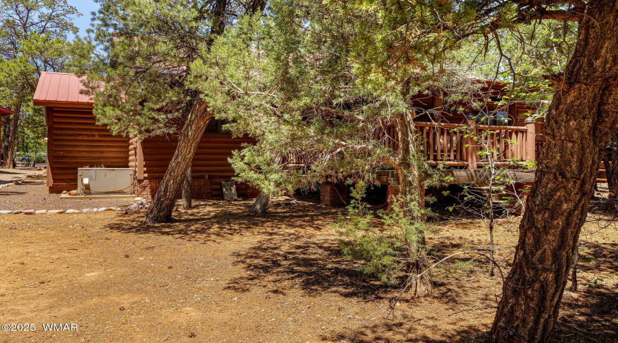 1761NBisonCt-ShowLow-AZ-25