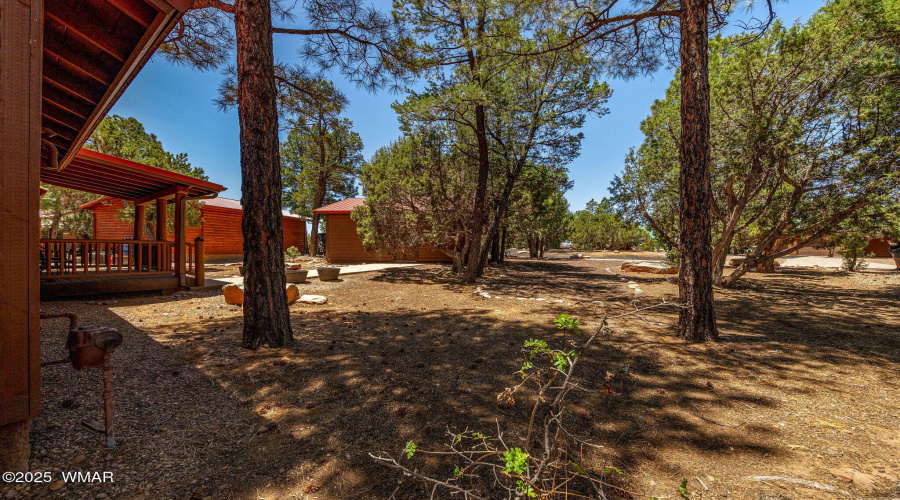 1761NBisonCt-ShowLow-AZ-27