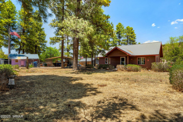 96CoRd2180-Nutrioso-AZ-3