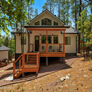 262067-Alpine-AZ-2