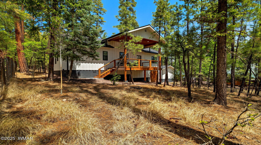 262067-Alpine-AZ-23