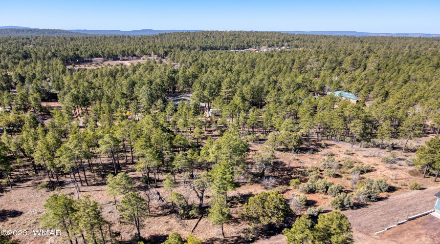 Heavily Treed Lot