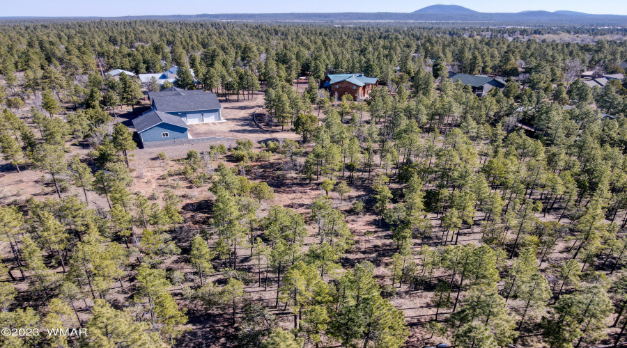 Nearly half acre lot