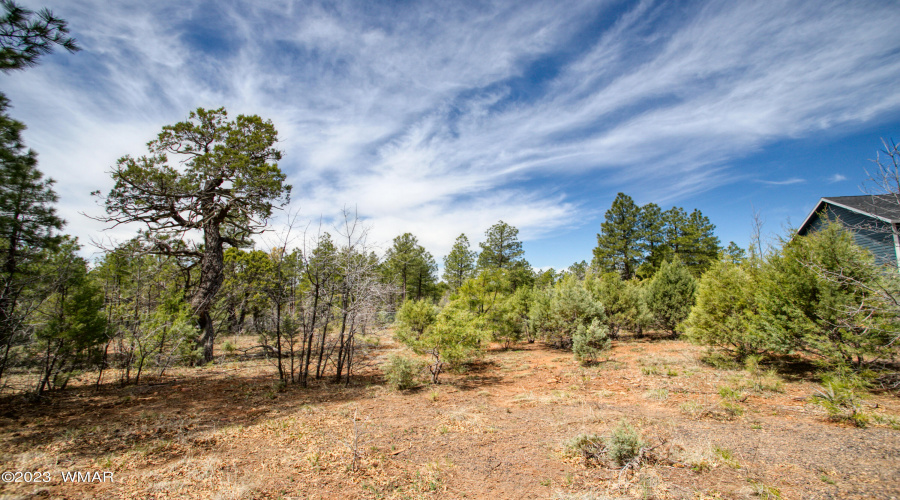 Nearly half acre lot.
