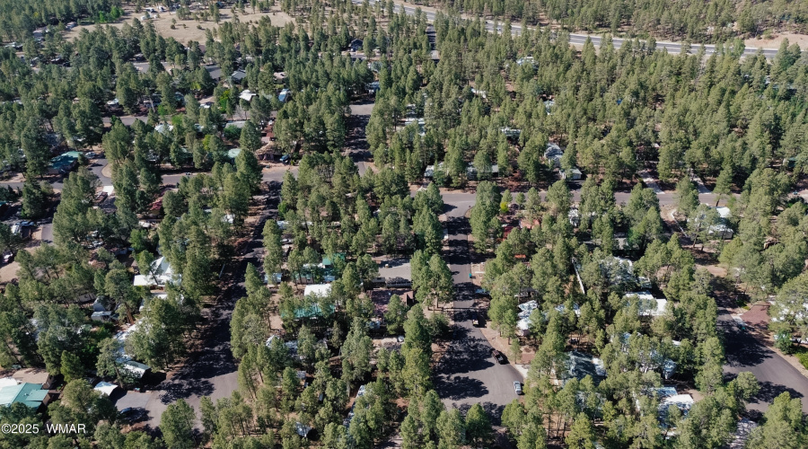 Heavily Treed Neighborhood