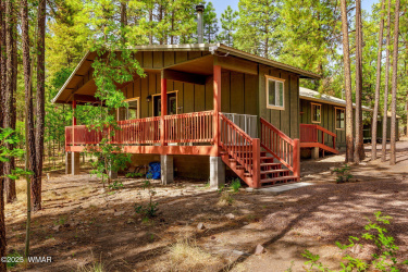 56CoRd2266-Alpine-AZ-22