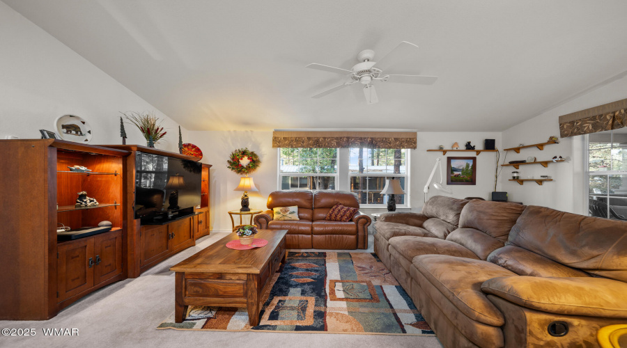 Spacious Living Room