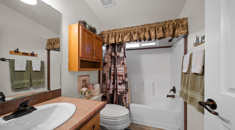 Guest Bath