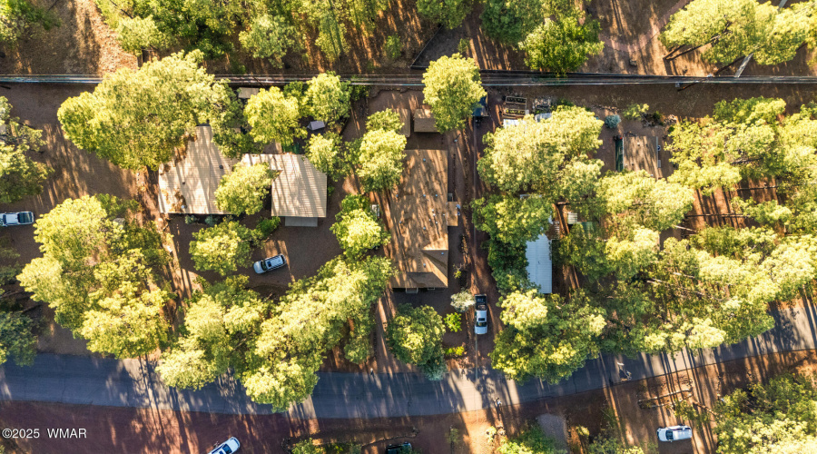 Birds Eye View