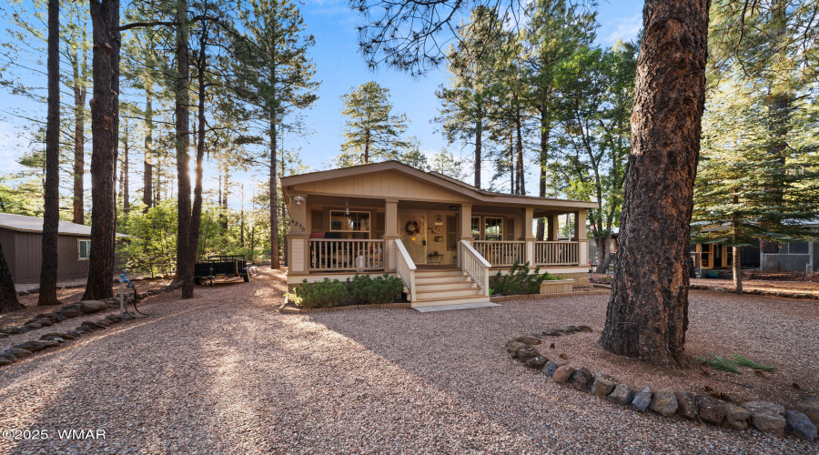 Low Maintenance Landscaping