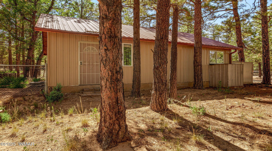 2846PineRimRd-Overgaard-AZ-19