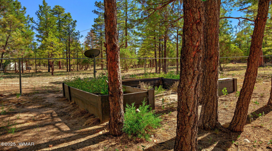 2846PineRimRd-Overgaard-AZ-20
