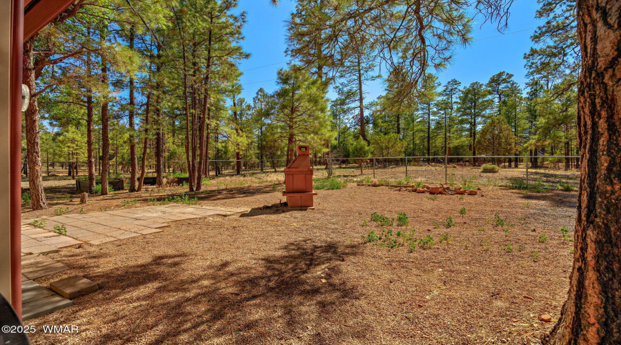 2846PineRimRd-Overgaard-AZ-21