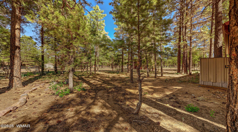 2846PineRimRd-Overgaard-AZ-25