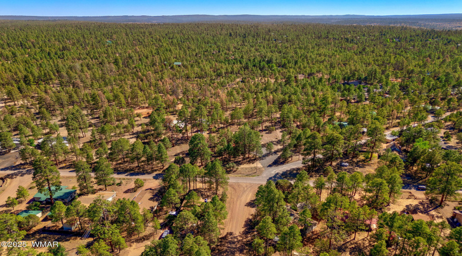 2846PineRimRd-Overgaard-AZ-28