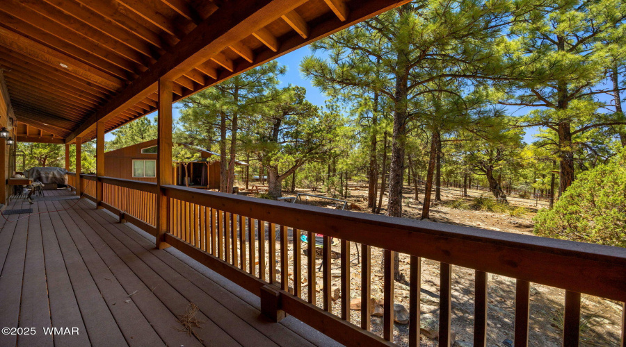 1034SnowyRockRidgeDr-ShowLow-AZ-28