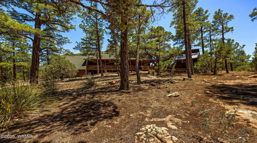 1034SnowyRockRidgeDr-ShowLow-AZ-32