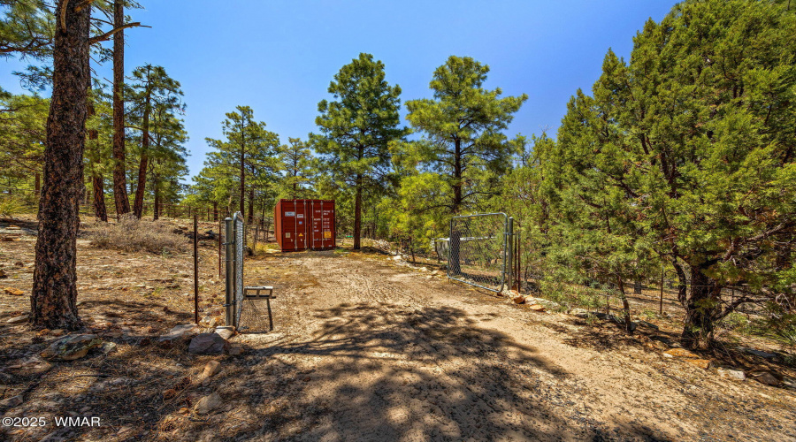 1034SnowyRockRidgeDr-ShowLow-AZ-40