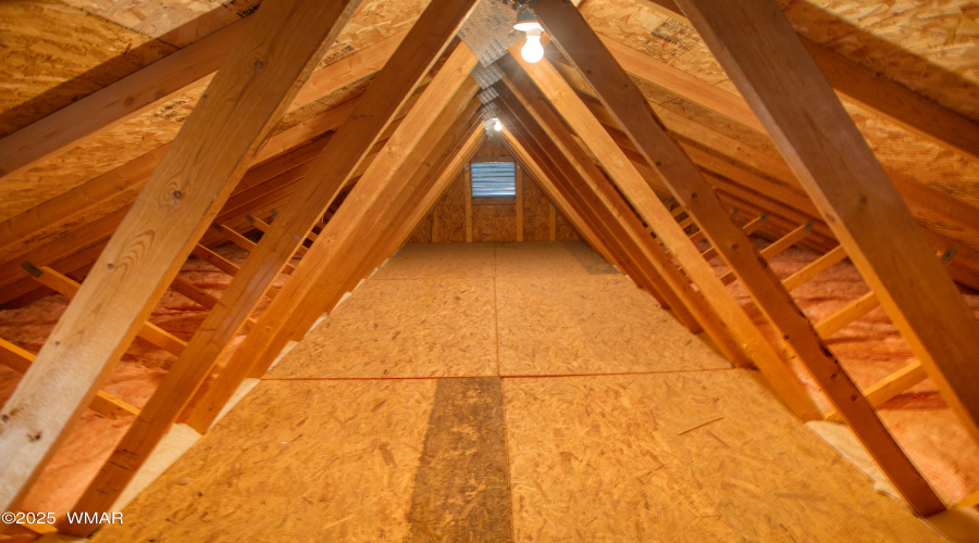 Storage above garage