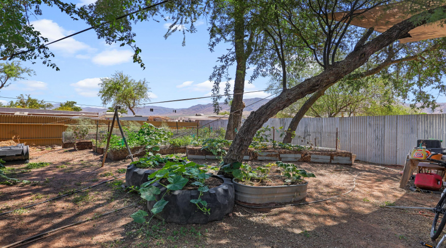 Garden Beds and Mountain Views