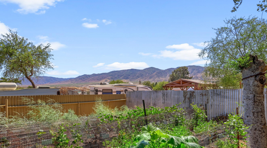 Garden and Views